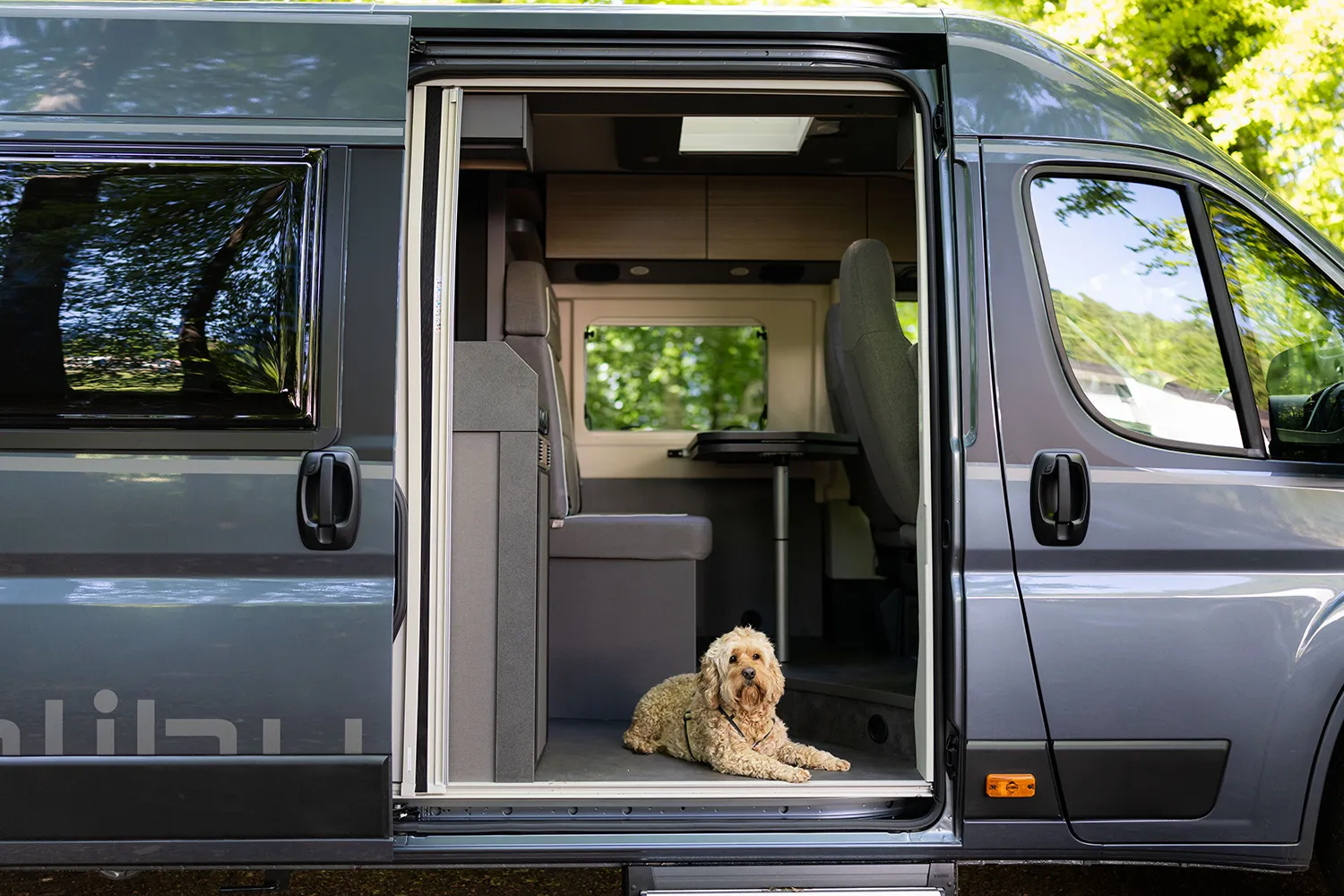 Hund liegt entspannt im Eingangsbereich eines Malibu Relax Camper Vans mit geöffneter Schiebetür