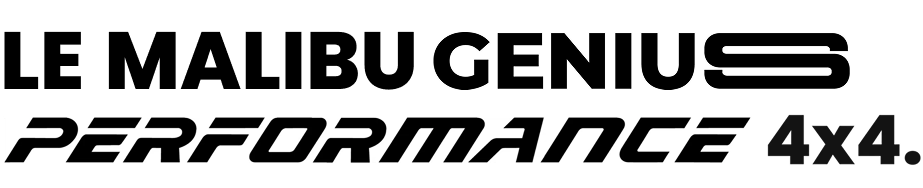 Logo en texte stylisé lisant PERFORMANCE 4x4. Le mot PERFORMANCE est en caractères gras, italiques et modernes, tandis que 4x4 apparaît en texte noir plus simple à la fin.