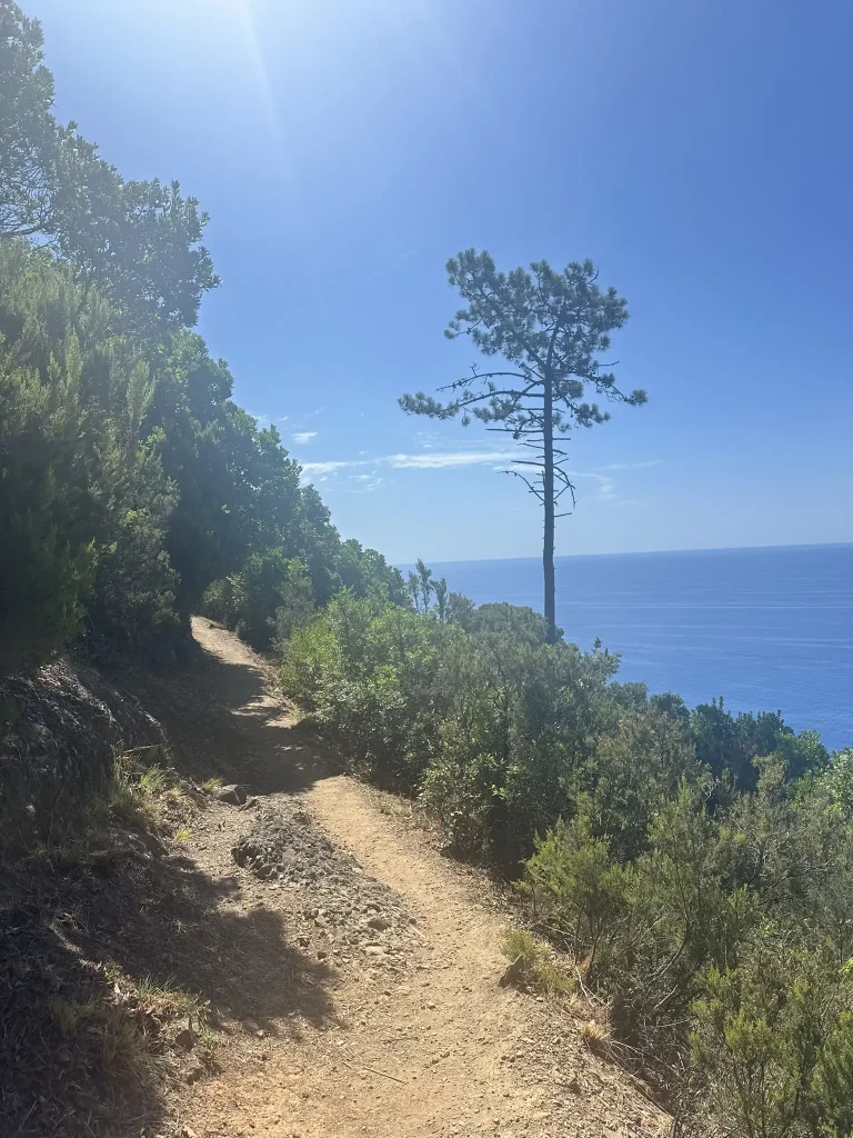 Aussicht eines Pfads beim Wanders aufs Meer